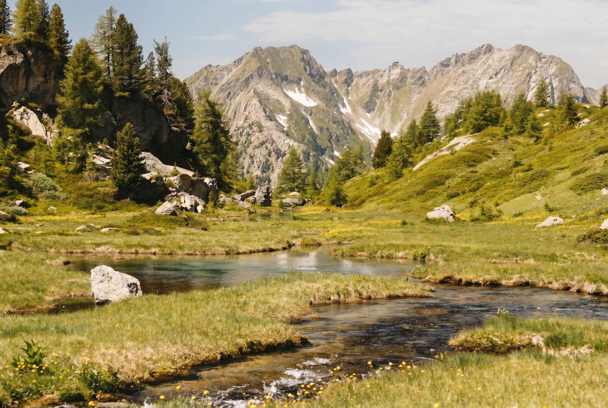 Torrente alpino tra prati e larici, con le cime della Val di Gressoney sullo sfondo